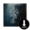 Won't Last Long Digital Single