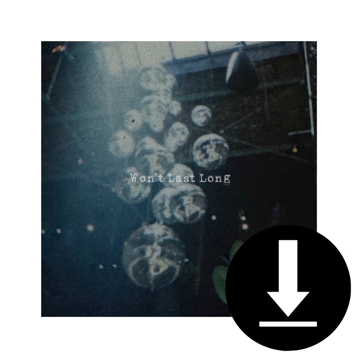 Won't Last Long Digital Single